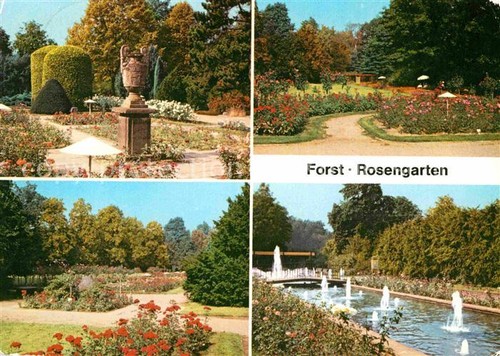 Forst lausitz rosengarten - forst,