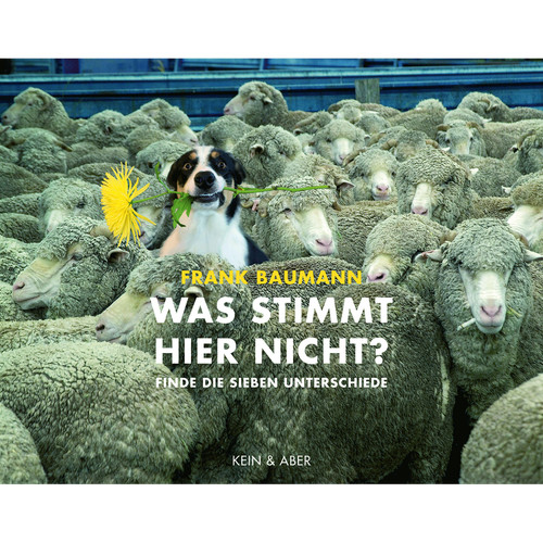 Was stimmt hier nicht - ?:, finde