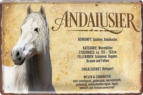 Blechschild 20x30 andalusier - blechschild,