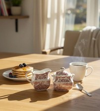 Enoch Wedgwood "Royal Homes of