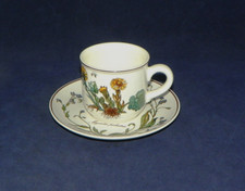 Kaffeetasse  Villeroy & Boch Botanica schwarzer Stempel, Untertasse GRATIS dazu
