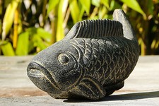 Koi Fisch Tier Teich Aquarium