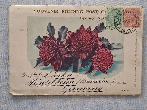 Vintage waratah leporello - vintage,
