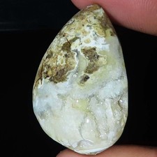 82.15 Cts Natürlich Schnecke