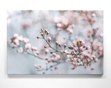 Frühlings Bilder als Wandbild, Leinwandbilder von Blumen Wiesen Tulpen Kirsche