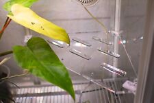 Milsbo Greenhouse - Einlegeböden - Pflanzeneinsatz - Gewächshaus