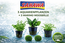 Nano Aquarienpflanzen Set