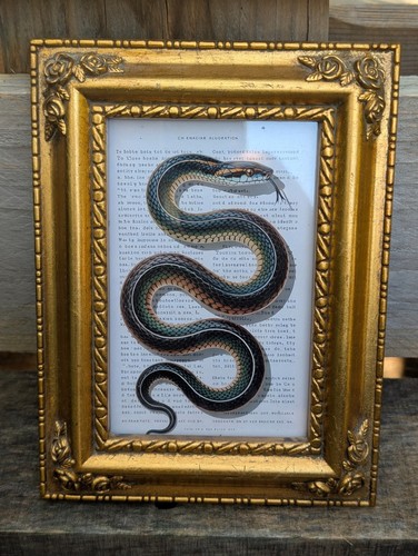 Vintage bilderrahmen gold - vintage,