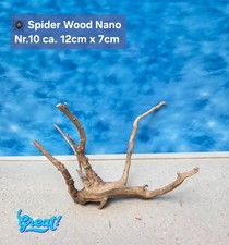 🪸 Nano Spiderwood 🕸