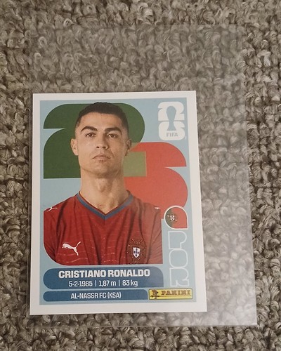 Panini fifa world - panini,
