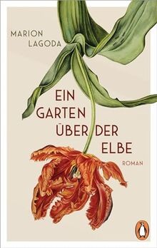 Ein garten über der - garten,