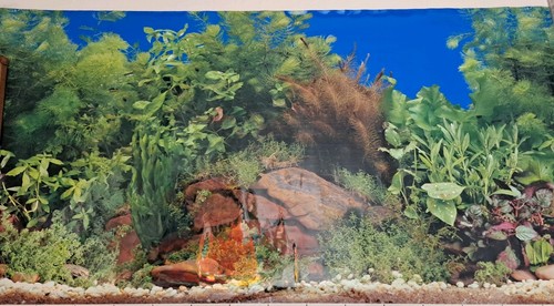 Aquarium bild rückwand - aquarium,