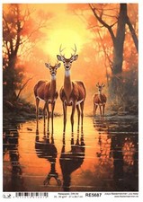 Reispapier A4 Strohseide