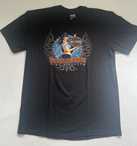 Vintage 2000 harley davidson - vintage,