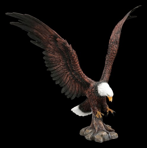 Adler figur sturzflug - adler,
