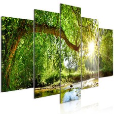 Wald landschaft natur - landschaft,