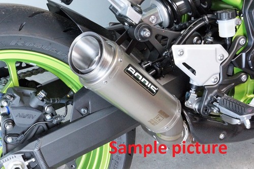 Kawasaki z1100 2025 - z1100/se, bodis