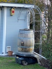 Wandrosenbogen HOLLAND RUND  B