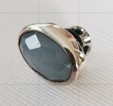 Charlotte Ehinger Schwarz