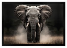 Fußmatte elefant f2635 - fußmatte,