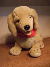 Labrador beige sitzend hund - labrador,