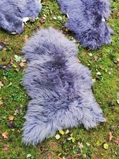 L-XXL Große Schaffelle, Echte