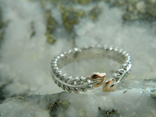 Walisischer clogau - walisischer,