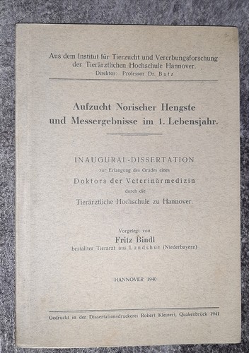 Aufzucht norischer hengste - aufzucht,