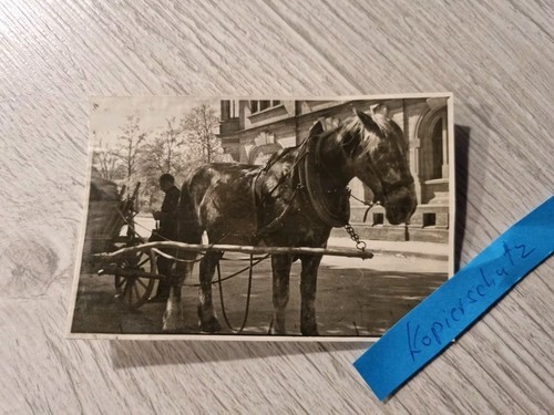 Foto alt rudolstadt am - foto,