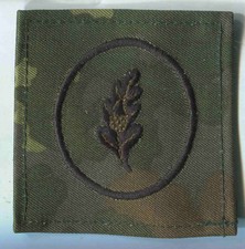 Bundeswehr :Führer