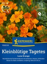 Kleinblütige Tagetes " LUNA