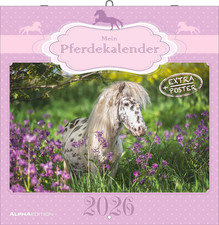 Mein Pferdekalender 2026 Wandkalender Poster Reit- Pferdeliebhaber
