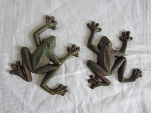 Frösche zwei frosch - frÖsche, wand