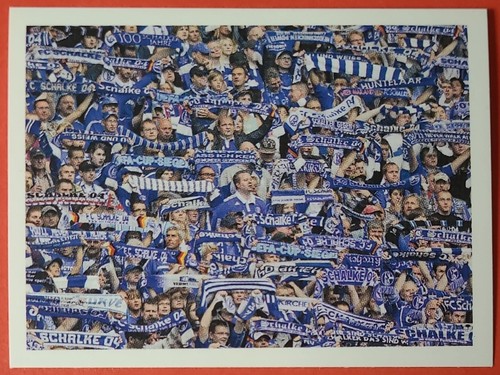 Panini schalke sticker - schalke,