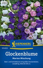 Kiepenkerl Glockenblumensamen