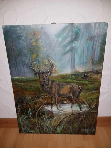 Kapitoler hirsch weinberger - kapitoler, n.