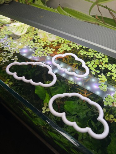 3er set aquarienring - 3er,