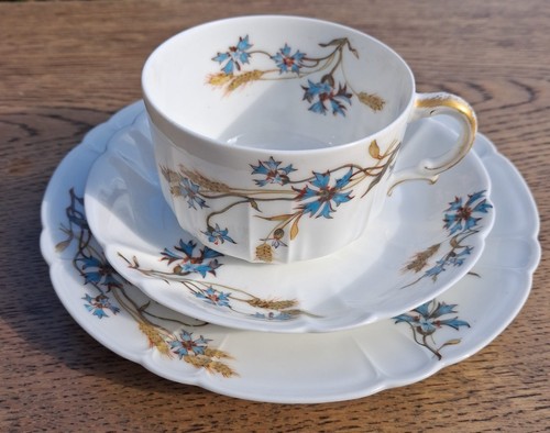 Antik haviland limoges - &co,
