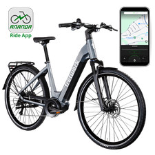 Tretwerk Amber E Bike Damen