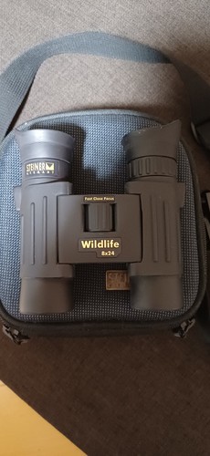 Steiner wildlife fernglas 8x24 - steiner,