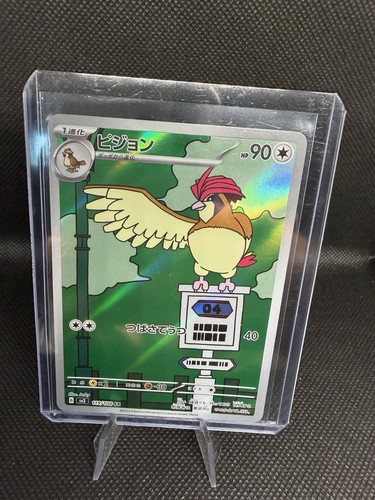 Pokémon tcg pidgeotto sv3 - pokémon,