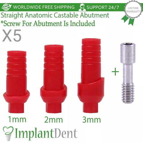Dental straight anatomic - 5x,