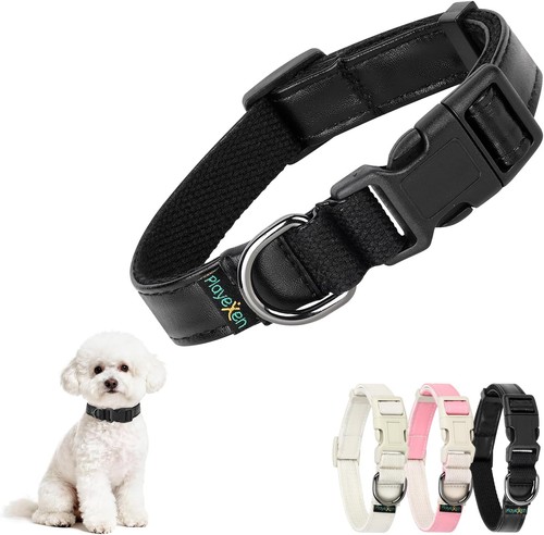 Welpenhalsband verstellbar - welpenhalsband,