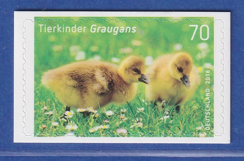Bund 2016 tierkinder graugans - bund,