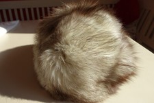 Echtpelz Mütze Blaufuchs -