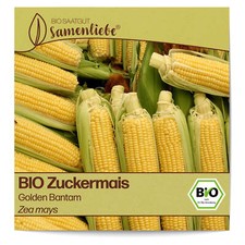 BIO Mais Samen Sorte Golden