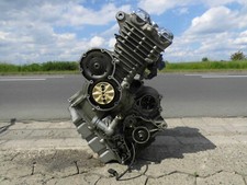 TRIUMPH THUNDERBIRD 900 Motor ca. 36ooo km -Freilauf defekt