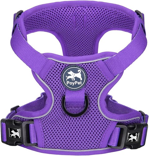 Hundegeschirr violett - hundegeschirr,