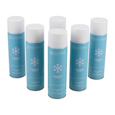 Scheibenenteiser Spraydose