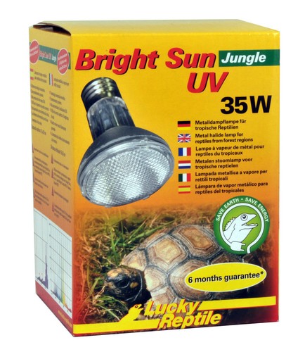 Lucky reptile bright sun - bright,